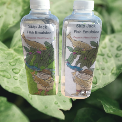 Skip Jack Fish Emulsion easy to use with fast results.  Skip Jack  Fish Emulsion is handmade at our Asparagus Farm. The benefits from Skip Jack Fish Emulsion  has many bacteria and fungi. that can break down the compost into a form of food the the Asparagus and plant roots can ingest. Without bacteria and fungi the compost just sits in the soil and the plants go hungry. Fish Emulsion goes back 100's of years. Now back by popular demand. Buy Best before the Skip Jack Fish Emulsion Fertilizer  are all gone.