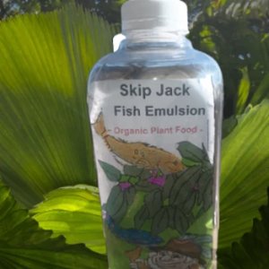 Skip Jac Alaskan Fish Emulsion for Asparagus crowns is a delight. The Asparagus crowns for planting will be well fed . Growing asparagus from root is fast and easy with SkipJack Alaskan Fish Emulsion. The asparagus roots to buy come in many varieties. They all love SkipJack Alaskan Fish Emulsion.