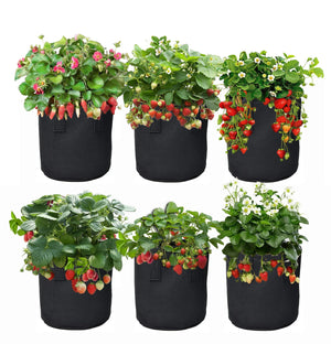 Grow Greener Fabric Grow Bags - 7 Gallon-   Make Gardening Fast and Easy- $12.00 -*